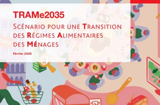 TRAMe2035