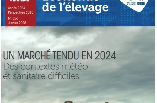 Dossier viande 2024