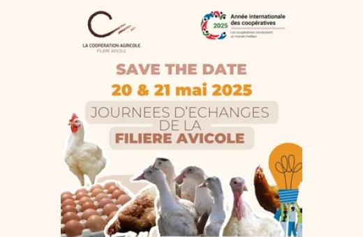 miniature STD journées avi 2025