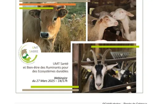 Webinaire UMT Santé