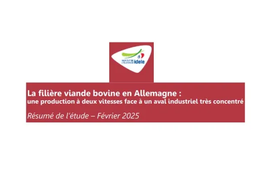 filiere viande bovine allemagne