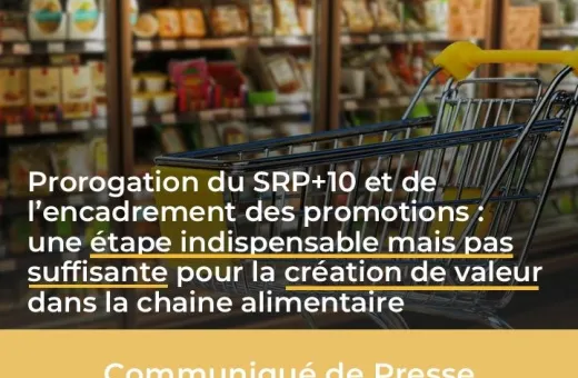Prorogation du SRP+10 et de l’encadrement des promotions