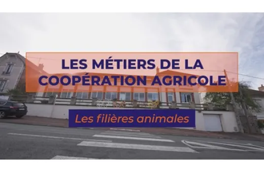 vidéo amont