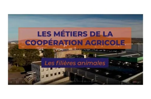 miniature vidéo aval des métiers en coopérative agricole