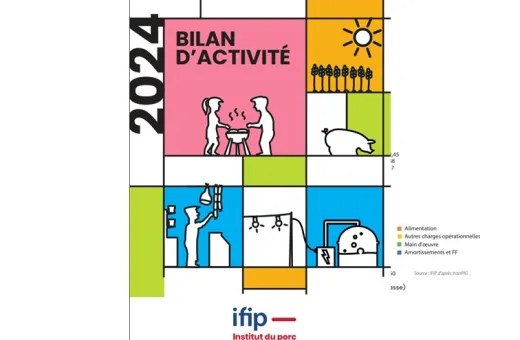 Bilan d'activité IFIP 2024
