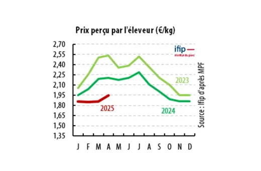 Indicateurs IFIP Juillet 2025