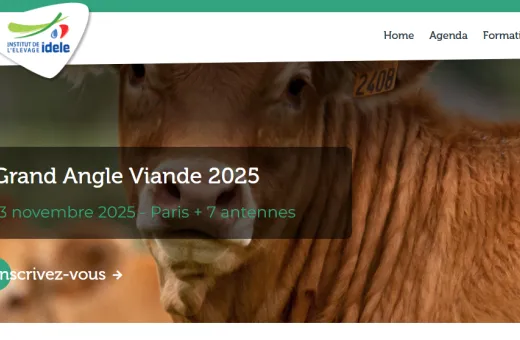 grand angle viande 2025