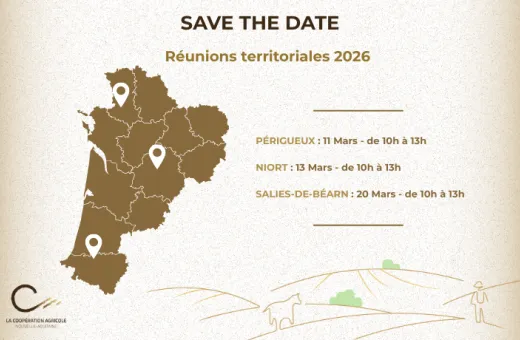 territoriales 2026