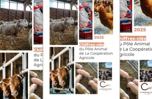 Chiffres clés PA 2025