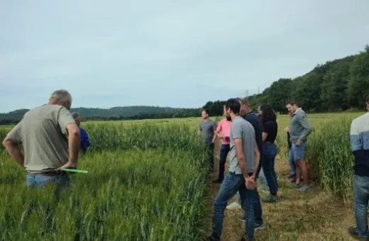 image fiche rex Duransia LBC