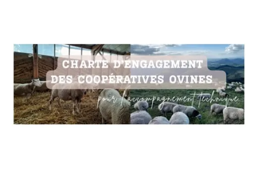 Charte ovine - titre