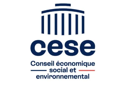 AVIS CESE DECARBONATION