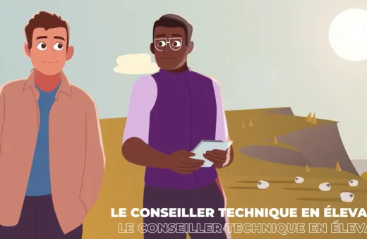 Motion design - amont de la filière