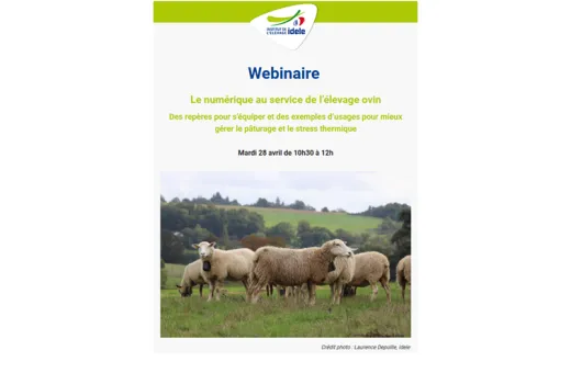 webinaire numérique avril 2026