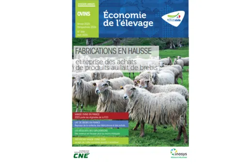 dossier annuel ovin 2026