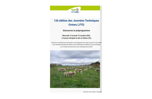 JTO 2026 pré prog