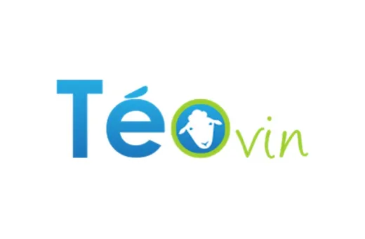 LOGO TEOVIN