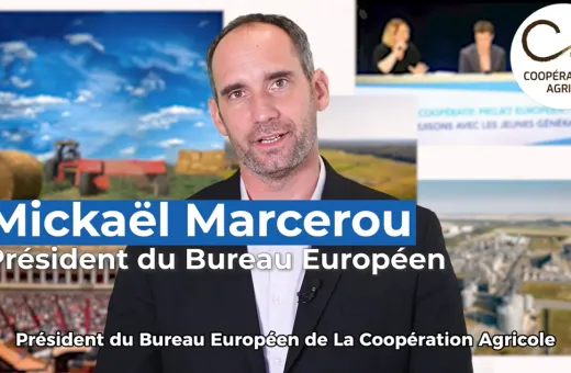 Mickael Marecerou
