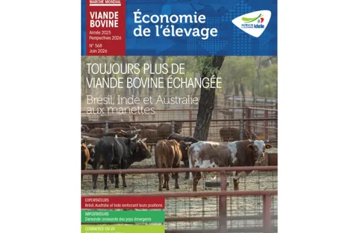 MMX VIANDE BOVINE année 2025 perspective 2026