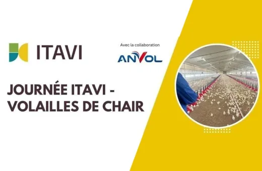 journée itavi 2026