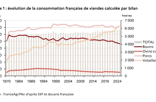 Consommation de viande en France (FranceAgriMer)