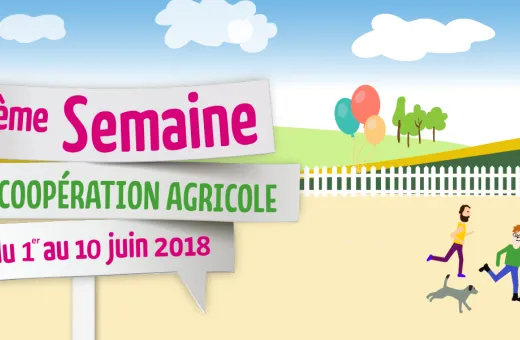 bannière_site_0.png
