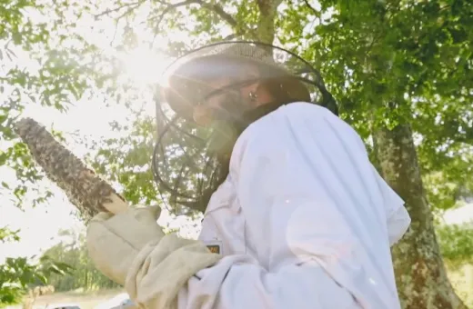 Limdor Apiculture.jpg