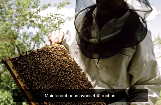 Capture compagnons du miel.JPG