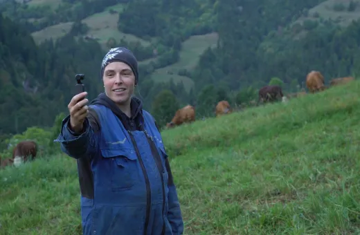 Capture cécile.JPG