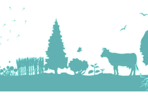 Livret agroécologie 2019 rogné_0.jpg