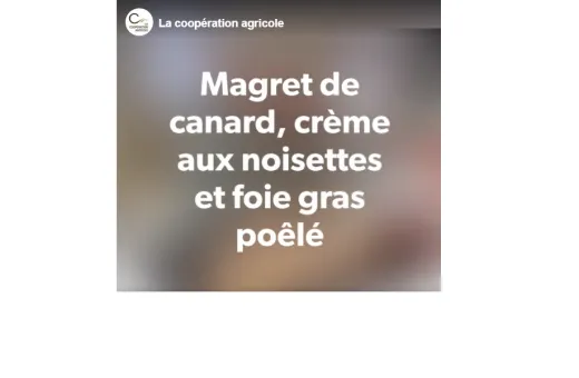 Une_Magrets_0.png