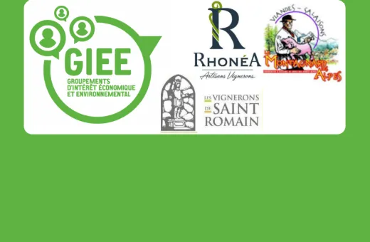 bandeau_giee_cooperative_lca_sud (1).png