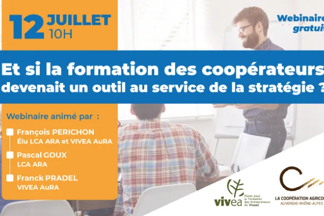 Webinaire 12 juillet LCA ARA