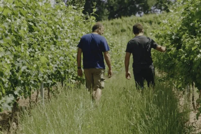 Terre de Vignerons