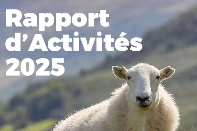 Rapport activités NA 2025