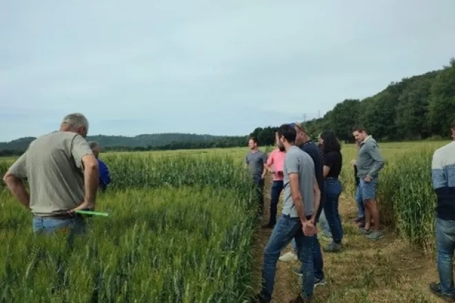 image fiche rex Duransia LBC