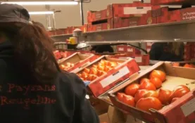 Directeur com et market