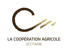 Logo LCA Occitanie
