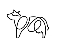 bovine pole animal