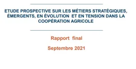 Rapport étude