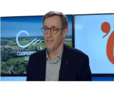 Dominique Chargé interviewé par Emmanuelle Ducros de l'Opinion