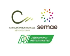 Logos LCA MdG / Fna / Semae