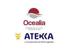 Logos Ocealia / Atekka