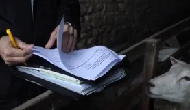 L'Alliance Pastorale