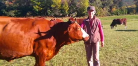 Eleveur adhérent de la coopérative laitière des Alpes du Sud