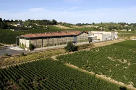 union des producteurs de saint émilion