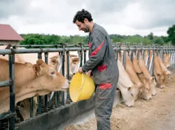 Renouvellement des générations