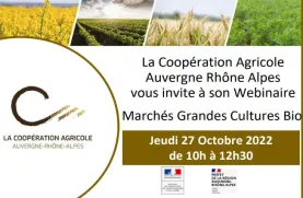Webinaire - Marchés grandes cultures Bio 