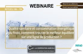 Webinaire Eco 2 - Consommation énergétique du froid
