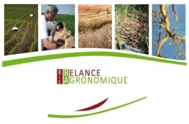 Journée PNDAR-CASDAR